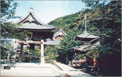 �Ⓦ�R�R�ω���ꏄ��E�Ⓦ�R�R�ω���ꏄ��o�X�c�A�[�\��